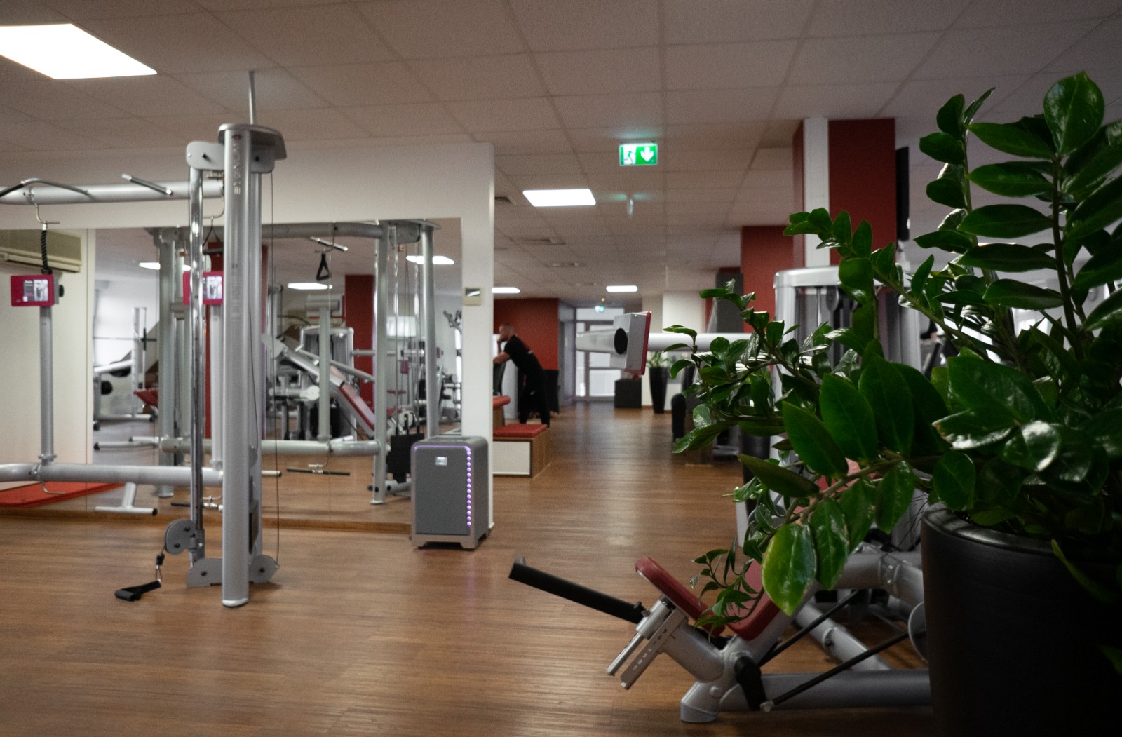 Kraftbereich von Gemeinsam Fit Dingden mit modernen Trainingsgeräten, Freihanteln und lichtdurchflutetem Ambiente für effektives Muskeltraining.