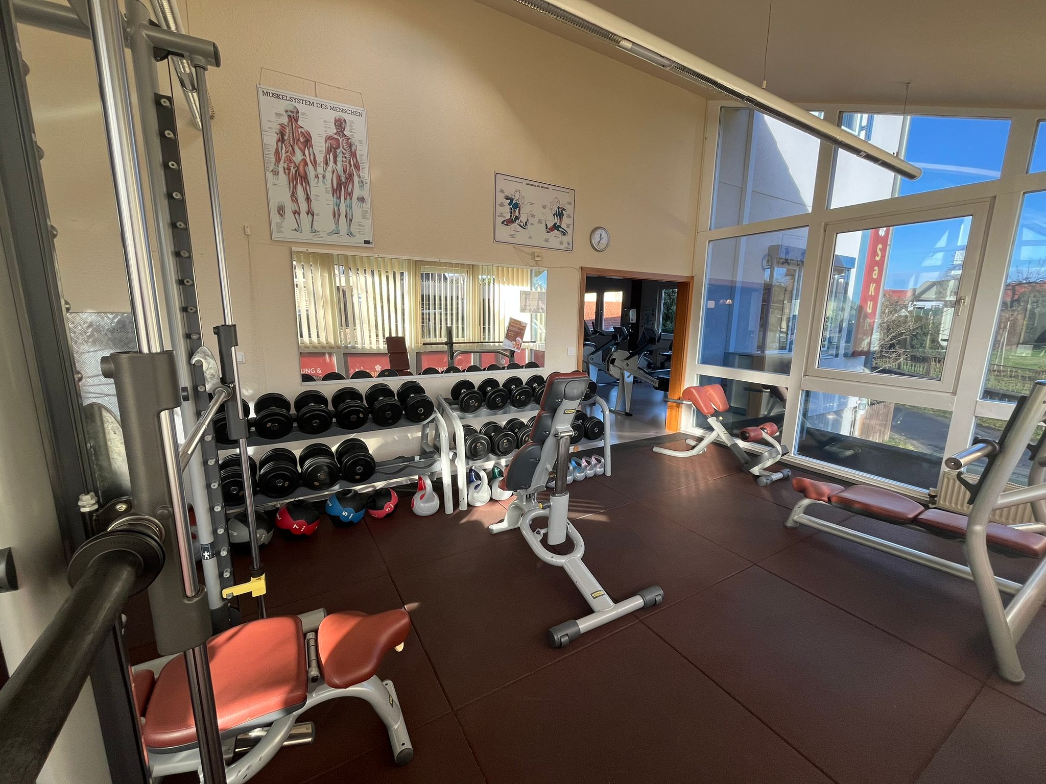 Heller, funktioneller Trainingsbereich bei SAKURA Spremberg: Freihanteln, Geräte und ausreichend Platz für präventions- und gesundheitsorientiertes Training in persönlicher Atmosphäre. ©SAKURA Spremberg